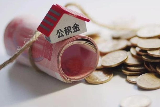 樟树为啥公积金黄牛可以取出来呢（樟树缺钱怎么把公积金提取出来）